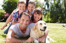 Supplément chien